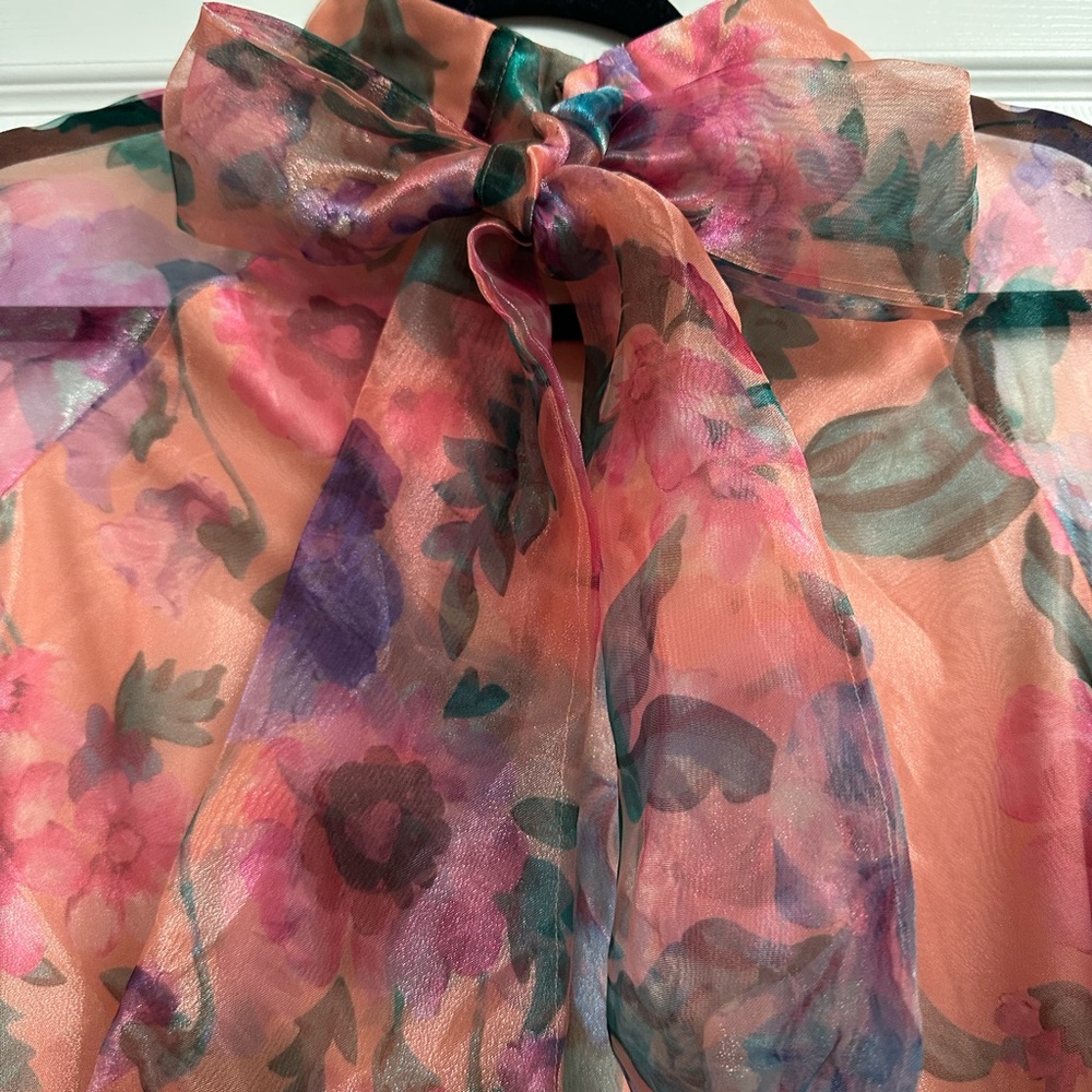 Sweet serenade Floral Organza Mini Dress - Picture 6 of 9